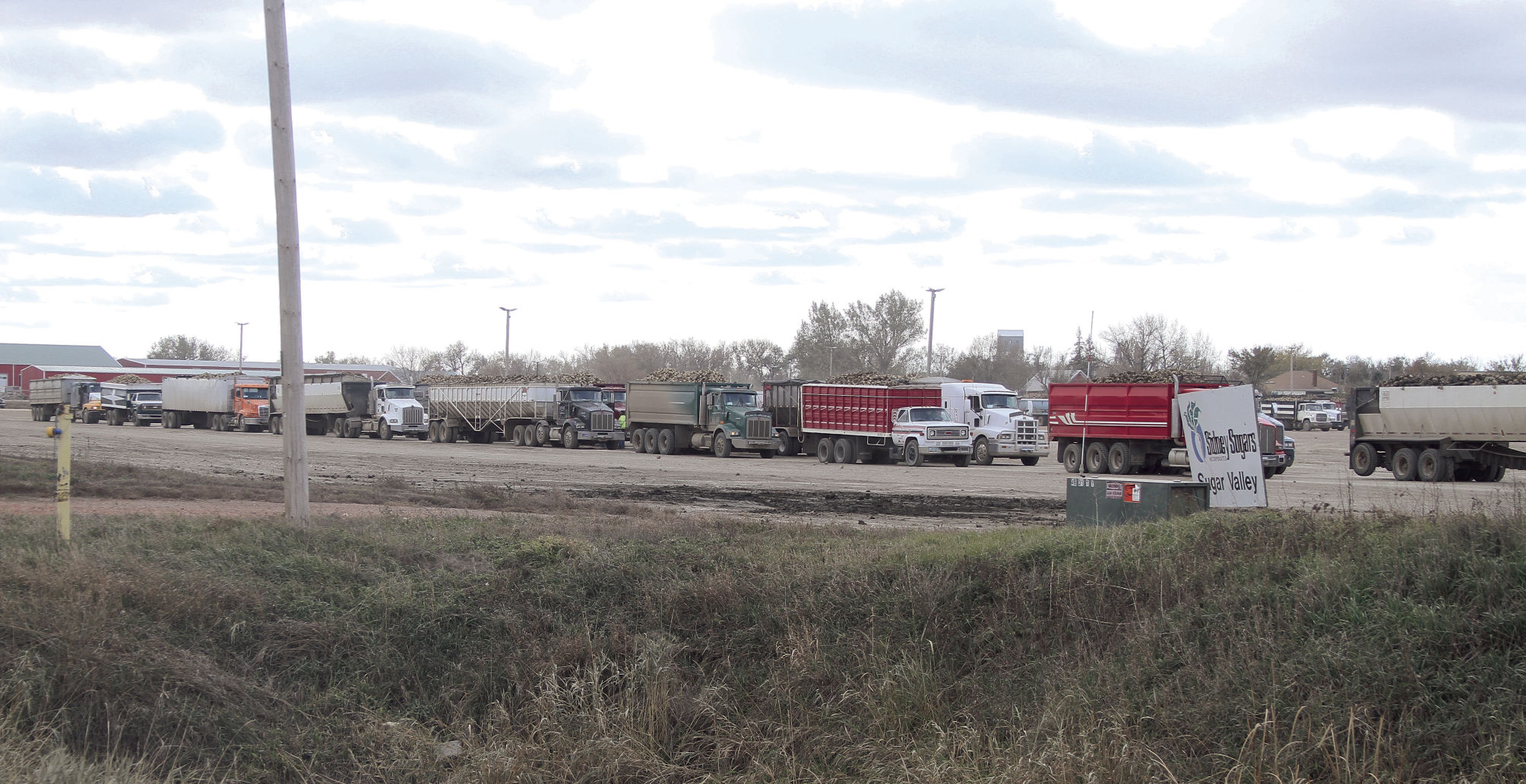 Weather muddies up beet dumps